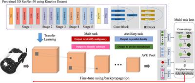 DeepLN: A Multi-Task AI Tool to Predict the Imaging Characteristics, Malignancy and Pathological Subtypes in CT-Detected Pulmonary Nodules